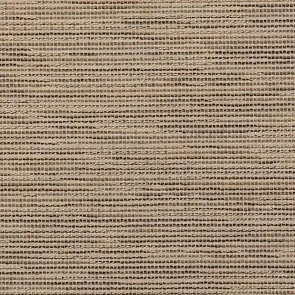 42111-0004 Charmer Wren