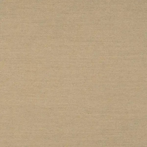 40616-0003 Play Camel