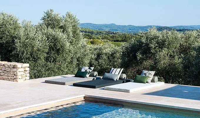 SLO 19106 Slow Fern - Image 7