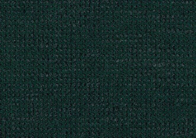 SLO 19104 Slow Forest