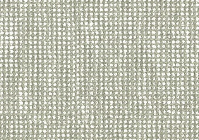 SLO 19107 Slow Spirea