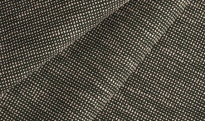 SLO 19106 Slow Fern - Image 6