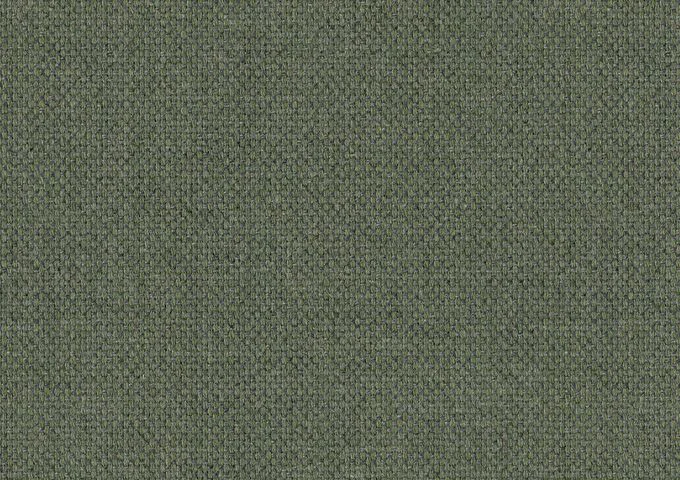 SOU 19006 Source Squamarina