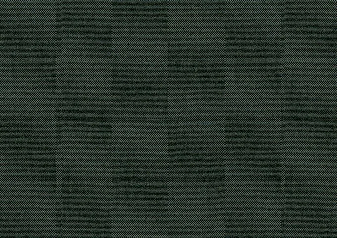 CLI B131 Cliff Fir
