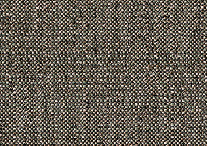 SAV3 J451 Savane Chameleon