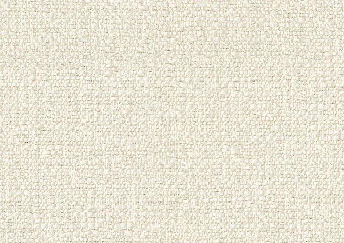 TUN3 J483 Tundra Swan