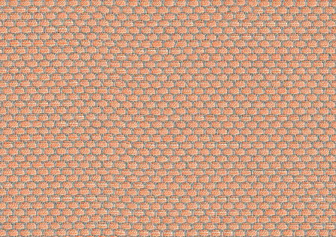 WAD J631 Wadi Shrimp