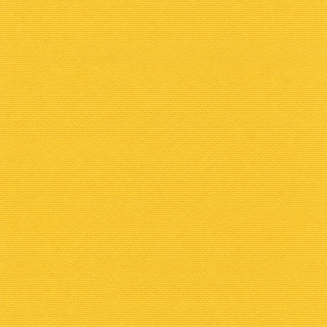 UV 3457 Offshore Sunflower