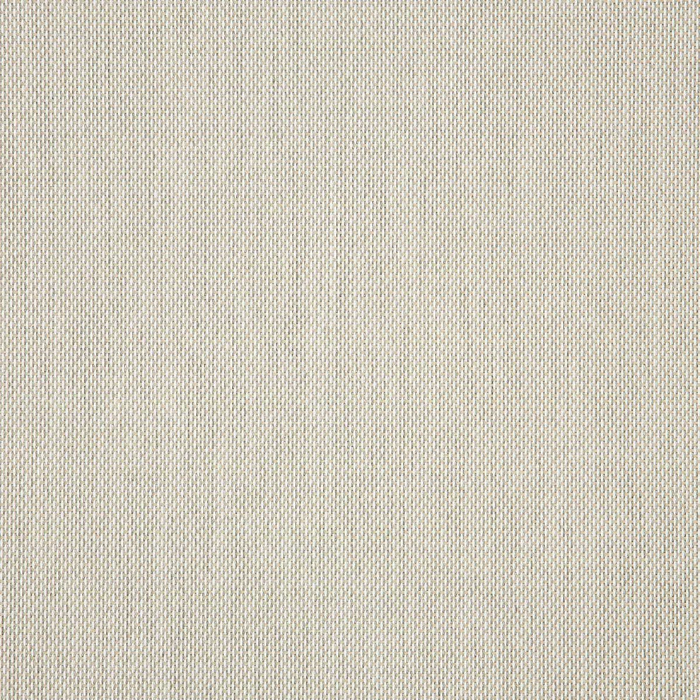 Augustine Oyster 3050345
