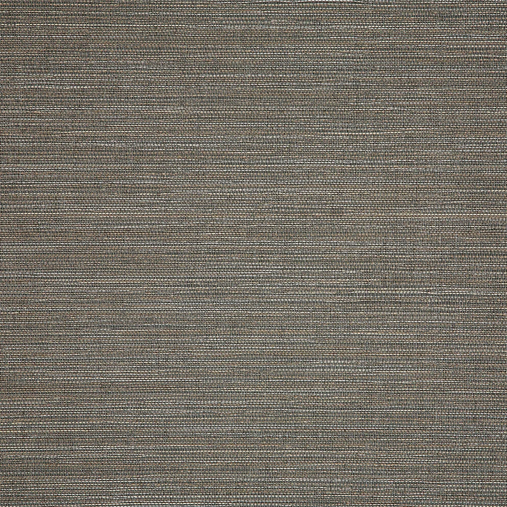 Collect Charcoal 50203-0003