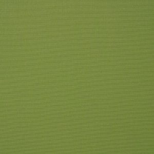 Ginkgo 6085-0000