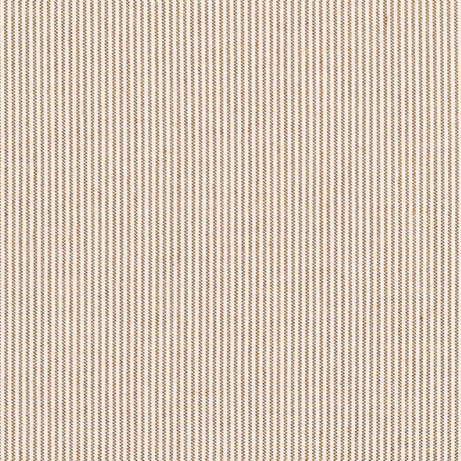 Replay Taupe 40621-0003