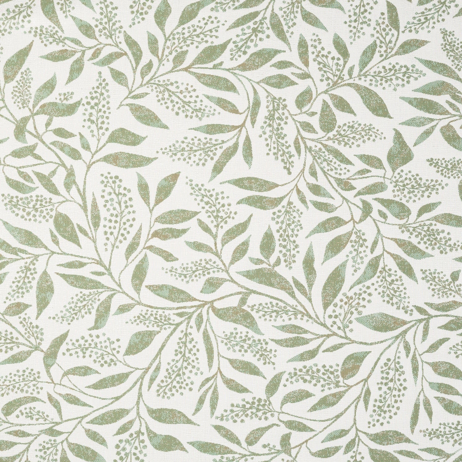 Exquisite Aloe 146272-0001