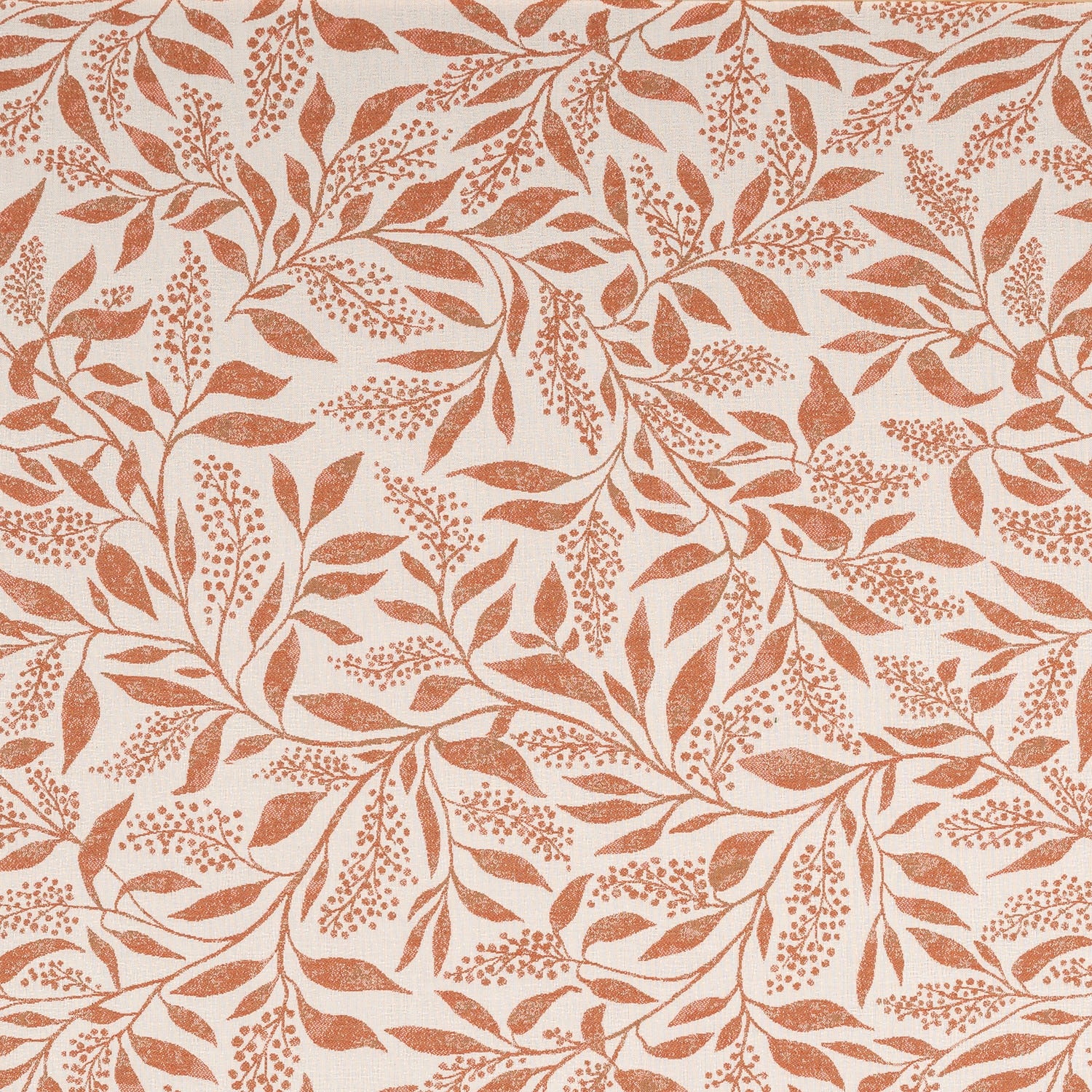 Exquisite Guava 146272-0003